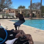 Screenshot 2025-05-04 031113